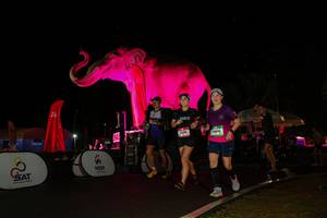 BIB: 
                            <button type="button" onclick="openModal(26543779)" class="btn btn-primary btn-sm float-right btn-popup" data-toggle="modal" data-target=".modal-high-quality">
                        <i class="fas fa-shopping-cart"></i> Add to Cart
                    </button>
                                            <button type="button" onclick="isThisMe(26543779, true)" class="btn btn-success btn-sm float-right btn-popup btn-isme hidden" data-toggle="tooltip" data-placement="bottom" title="นี่คือรูปของคุณใช่ไหม คลิกที่นี่เพื่อเอาเข้าอัลบั้ม">
                        <i class="fas fa-plus"></i> Add to album
                    </button>
                    <button type="button" onclick="isThisMe(26543779, false)" class="btn btn-warning btn-sm float-right btn-popup btn-isnotme hidden">
                        <i class="fas fa-ban"></i> Remove from album
                    </button>